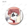  arma bianca Kawagoe Boys Sing Trading Scene Photo Button Badge 11pcs Complete Box 