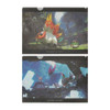 Pokemon Center Original A4 Clear File