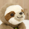  Sun Arrow Potte Sloth 