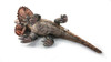  Taiyo Sangyo Wildography  Frilled Lizard 