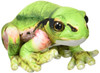  Taiyo Sangyo Wildography Plush Tree Frog 