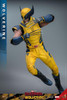  Hot Toys Movie Masterpiece - 1/6 Scale Fully Poseable Figure: Deadpool & Wolverine - Wolverine 