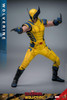  Hot Toys Movie Masterpiece - 1/6 Scale Fully Poseable Figure: Deadpool & Wolverine - Wolverine 