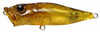  Megabass Pop-X Cicada? (Nojiri SP) 