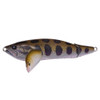  Megabass I-Wing Triple Fry Pagani Raigyo 