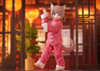  amiami GOLDENHEAD+ Palette Dress-up Collection Nyan Fu Kinako Figure (Uchi no Neko ga Onnanoko de Kawaii) 
