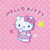  Sanrio Hello Kitty Mini Pouch (Nostalgic Profile Book) Accessory Case 078476 