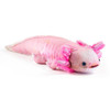  Taiyo Sangyo Wild Graphy Axolotl 