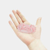  TORUNE Hello Kitty Lunch Box Cup 