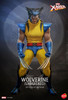  Hot Toys Hono Studio -  1/6 Scale Fully Poseable Figure: Marvel Comics - Wolverine (Unmasked) 