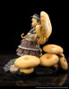  amiami Reverse Studi: Mushroom Girls Series - No.3: Tamogitake 1/1 Complete Figure 