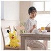 Pokemon Center Original Pokemon Center At Home With Pokemon Talking Caring Pikachu 