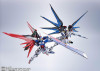  Bandai Metal Robot Spirits (Side MS) Strike Freedom Gundam [Re:Coordinate] Figure (Mobile Suit Gundam SEED Destiny) 