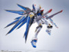  Bandai Metal Robot Spirits (Side MS) Strike Freedom Gundam [Re:Coordinate] Figure (Mobile Suit Gundam SEED Destiny) 
