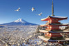 Yanoman Jigsaw Puzzle Mount Fuji in a winter landscape with a crane (Yamanashi)  (1000 Pieces) 