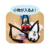  Unique730 Stuffed Toy Backpack Crayon Shin-chan Shin-chan 