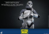  Hot Toys Television Masterpiece - 1/6 Scale Fully Poseable Figure: Star Wars: The Clone Wars - 104th Battalion Wolfpack 