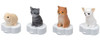 Takara Tomy Licca Doll Pet Set for Magic Pet Castle  doll not included  (852742)