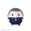  Max Limited Haikyuu!! Fuwakororin M Size - Ryunosuke Tanaka (Reprint) Plush Toy 