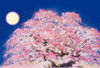 Beverly 1000-047 Jigsaw Puzzle Garyu Sakura (Tanabe Jigen) (1000 Pieces)