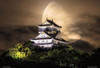 Beverly Jigsaw Puzzle Gifu Castle on a Moonlit Night (300 Pieces) 
