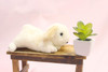 TAKE OFF Rabbit Maron Lop-Ear (Ivory)