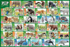 Beverly 80-038 Jigsaw Puzzle The Secret of Ania Animals (80 Pieces)
