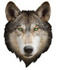 Beverly SHP-027 Jigsaw Puzzle Big Face Wolf (550 Pieces)