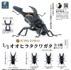  SO-TA Animalier Collection 1/1 Giant Stag Beetle Figure 4pcs Complete Box 
