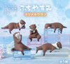  YELL Fuchiyasumi Small-clawed Otter (10 pack box) 