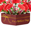 Sanrio Greeting Card Message Card Mother's Day 3D Potted Carnation JMD 9-5 613924