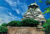 Beverly Jigsaw Puzzle Osaka Castle (300 pieces Pieces) 