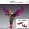Bandai Candy SHODO-O Exceed Kamen Rider 4pcs BOX