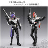 Bandai Candy SHODO-O Exceed Kamen Rider 4pcs BOX