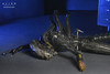 MAMEGYORAI Alien: Romulus - Xenomorph xx121 Suspended Lab DX 7-inch Action Figure