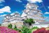 Jigsaw Puzzle Himeji Castle during the early summer greenery - Hyogo (1000 Pieces)