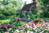 Jigsaw Puzzle Cottage in the Flower Garden (2016 Pieces)