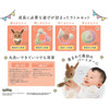Pokemon Center Original Monpoke Rattle Set Eevee