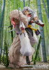 Proof Inuyasha Sesshomaru 1/7 Figure