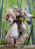 Proof Inuyasha Sesshomaru 1/7 Figure