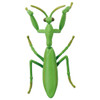 Takara Tomy Ania  Giant Mantis