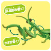 Takara Tomy Ania  Giant Mantis