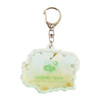Pokemon Center Original Acrylic Keychain Collection Otenki Team Box