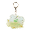 Pokemon Center Original Acrylic Keychain Collection Otenki Team Box