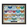  Pokemon Center Original Pins Collection Vivillon All 20 Types Set 