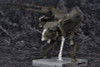 Kotobukiya 1/100 Sahelanthropus Black Ver. Plastic Model (Metal Gear Solid V: The Phantom Pain)