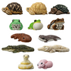 Bandai Candy Tenori Animal Friends Vol.12 -Reptiles and Amphibians- 12pcs Complete Box