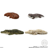 Bandai Candy Tenori Animal Friends Vol.12 -Reptiles and Amphibians- 12pcs Complete Box