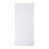  Pokemon Center Original Hand Towel Pokemon Center Fukuoka R 