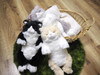  Sunlemon Knee Cat Peacefully Sleeping Plush S Hachiware 